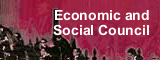 Economic and Social Council