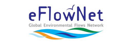 eFlowNet logo