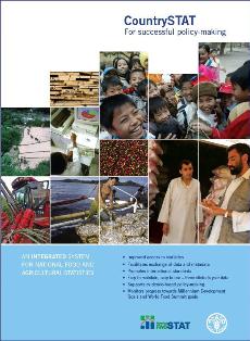 CountrySTAT brochure