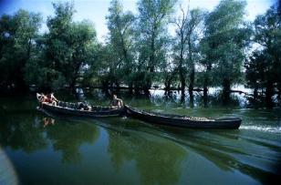 Boats on Danube