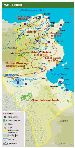 Source:UN World Water Development Report 3 (2009)