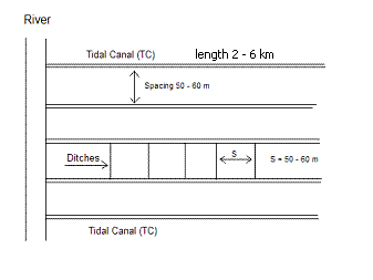 Fig. 1. A tidal canal stretches from the river inland and distributes the water over the lateral ditches