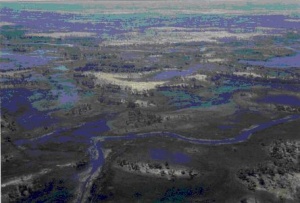 Islands and permanent swamps in the Okavango Delta